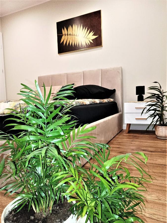 Przy Kopalni Srebra Apartment