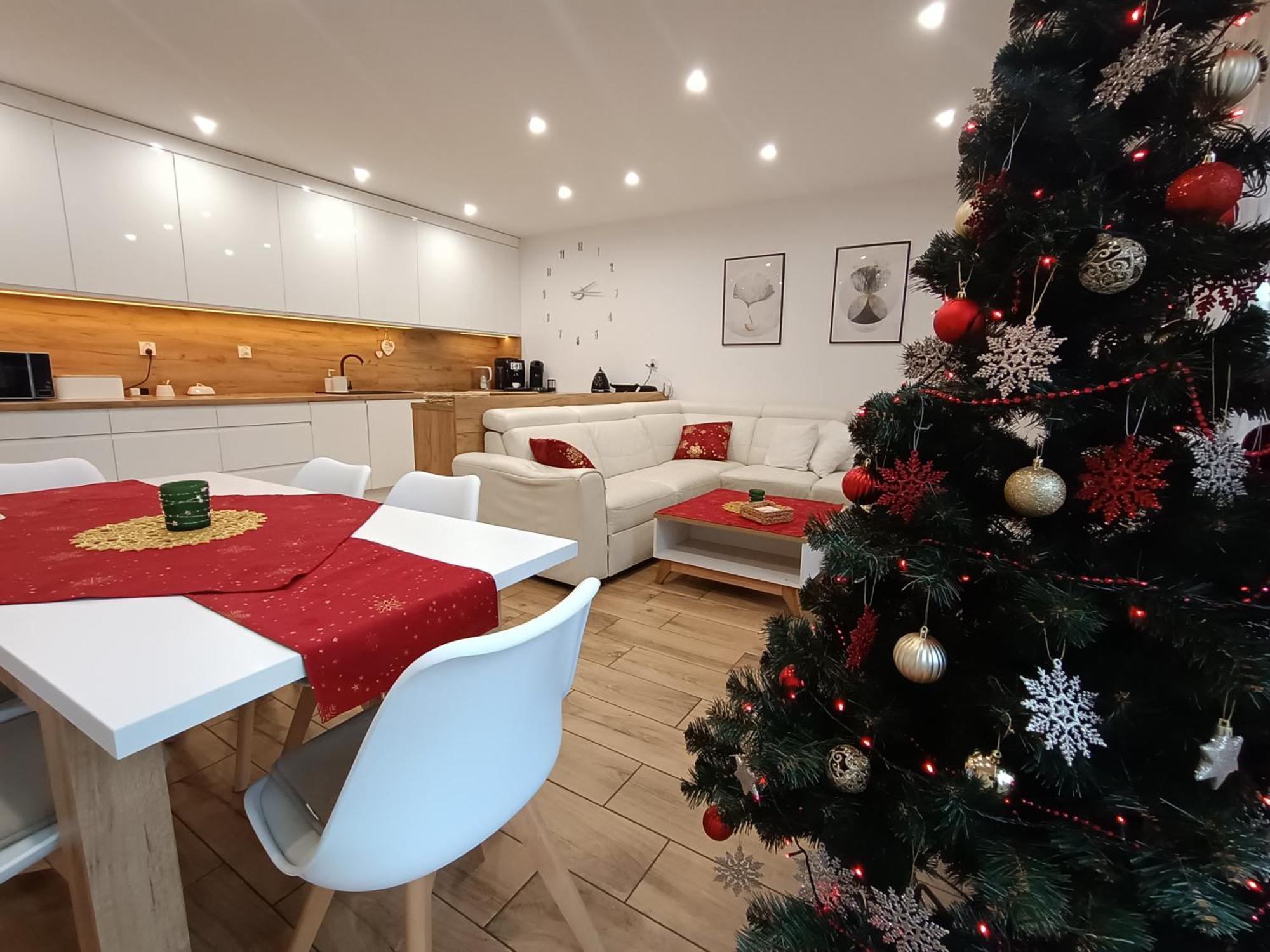 Przy Kopalni Srebra Apartment Tarnowskie Góry