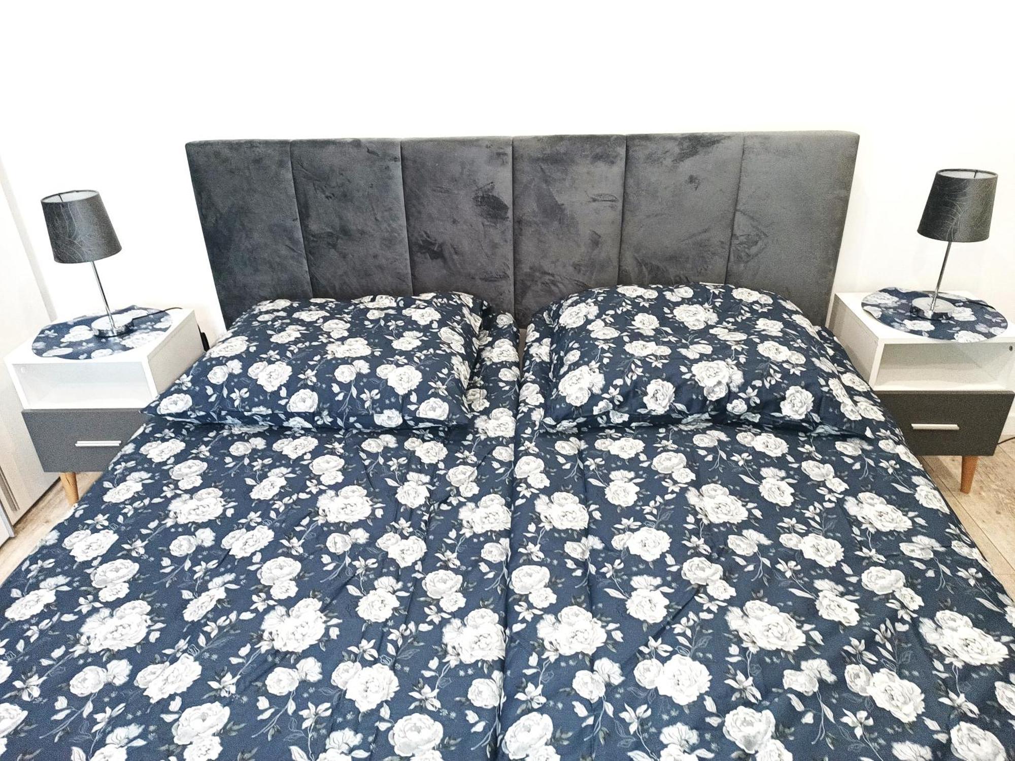 Przy Kopalni Srebra Apartment Tarnowskie Góry